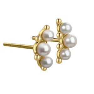 Aqua Dulce Page øreringe 4611