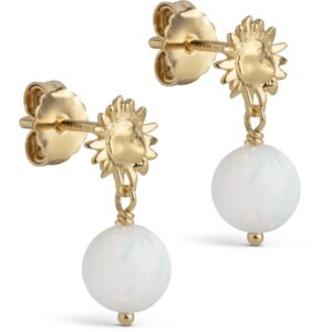 Enamel Daystar Globe øreringe E416G