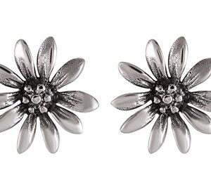 Raw-Oxi øreringe sølv