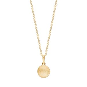 8kt guldvedhæng plade inkl. forg. sølvkæde